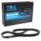 Serpentine Belt