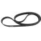Serpentine Belt