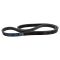 Serpentine Belt