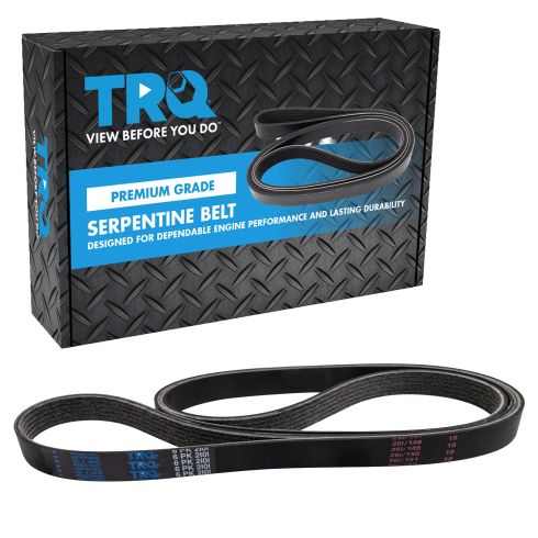 Serpentine Belt