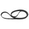 Serpentine Belt