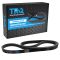 Serpentine Belt