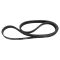 Serpentine Belt