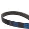Serpentine Belt