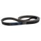 Serpentine Belt