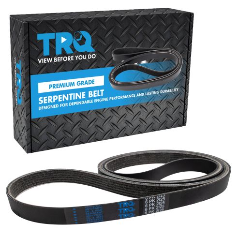 Serpentine Belt