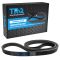 Serpentine Belt