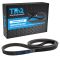 Serpentine Belt