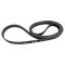 Serpentine Belt