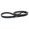 Serpentine Belt
