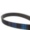 Serpentine Belt