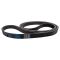 Serpentine Belt