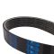 Serpentine Belt