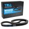 Serpentine Belt