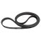 Serpentine Belt