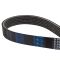 Serpentine Belt