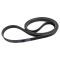 Serpentine Belt