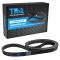 Serpentine Belt