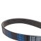 Serpentine Belt