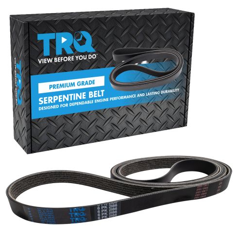 Serpentine Belt