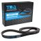 Serpentine Belt