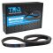 Serpentine Belt