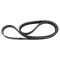 Serpentine Belt