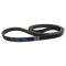 Serpentine Belt