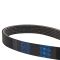 Serpentine Belt