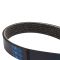 Serpentine Belt