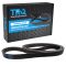 Serpentine Belt