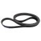 Serpentine Belt