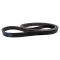 Serpentine Belt