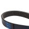 Serpentine Belt