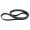 Serpentine Belt