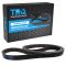 Serpentine Belt