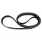 Serpentine Belt