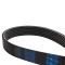 Serpentine Belt