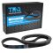 Serpentine Belt