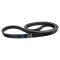 Serpentine Belt