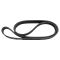 Serpentine Belt