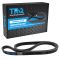 Serpentine Belt