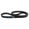 Serpentine Belt