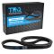 Serpentine Belt