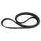 Serpentine Belt