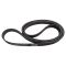 Serpentine Belt