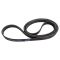 Serpentine Belt