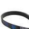 Serpentine Belt