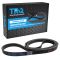 Serpentine Belt