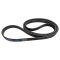 Serpentine Belt